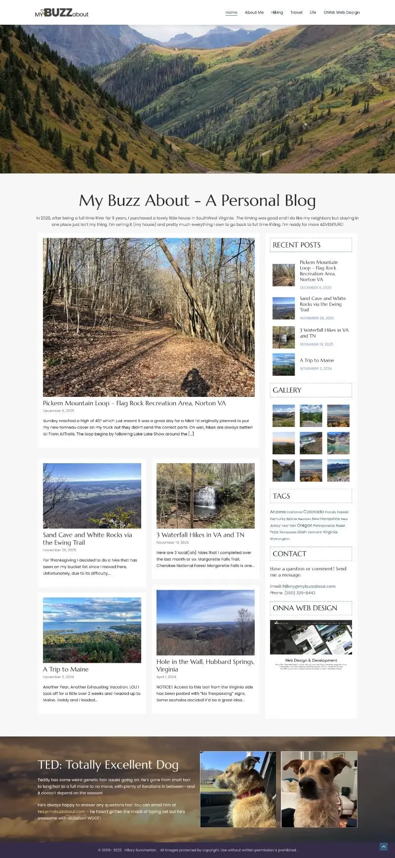 Screenshot of My Buzz About Website